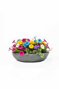 Pflanzschale Dekoschale Fiberglas CAVERO Betongrau