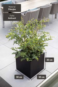 Pflanzkübel Blumenkübel Fiberglas "Block" Würfel, Anthrazit