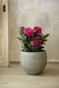 Kunstpflanze Pfingstrose Paeonia im cremefarbenen Dekotopf PEONY fuchsia