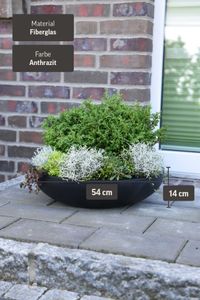 Pflanzschale Blumenschale Fiberglas "Plana", Anthrazit
