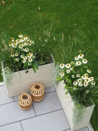 Pflanzkübel Raumteiler Fiberglas Steinoptik "Elemento", Creme