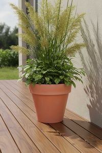 Blumentopf Pflanzkübel aus Kunststoff Rund Terrakotta LEVANTA Blumentopf Pflanzkübel aus Kunststoff Rund Terrakotta LEVANTA