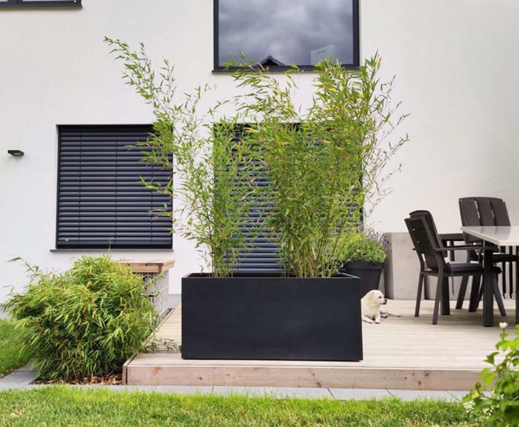 Pflanztrog anthrazit mit Bambus auf einer Holz-Terrasse