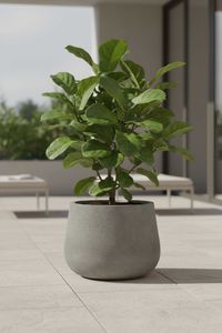 Pflanztopf Blumentopf Fiberglas GIRAR Vesuvgrau