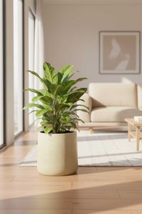 Blumentopf Pflanzkübel Fiberglas VEKRA Vesuvcreme