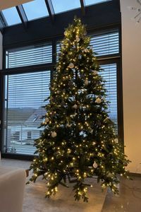 Künstlicher Premium Weihnachtsbaum Nordmanntanne LED, 300 cm hoch