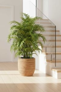 Pflanzkübel Rattan MASTELLO Natur