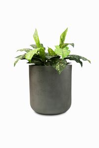 Blumentopf Pflanztopf Fiberglas CHICO Vesuvgrau