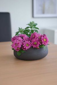 Pflanzschale Dekoschale PERA Fiberglas Grau Pflanzschale Dekoschale PERA Fiberglas Grau