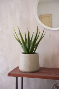 Kunstpflanze Kunststoff Agave im schwarzen Kunststofftopf ASPARA