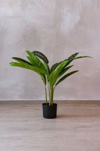 Kunstpflanze künstliche Blattpflanze im Topf Kunststoff NICOLA Kunstpflanze künstliche Blattpflanze im Topf Kunststoff NICOLA