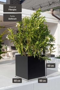 Pflanzkübel Blumenkübel Fiberglas "Block" Würfel, Anthrazit