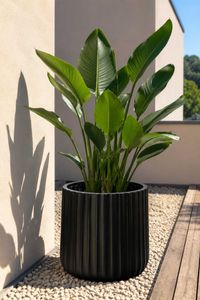 Blumentopf VEKRA Fiberglas 48x50 cm Schwarz Blumentopf VEKRA Fiberglas 48x50 cm Schwarz