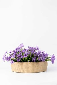 Pflanzschale Dekoschale Fiberglas ERYNA Arbanerelief