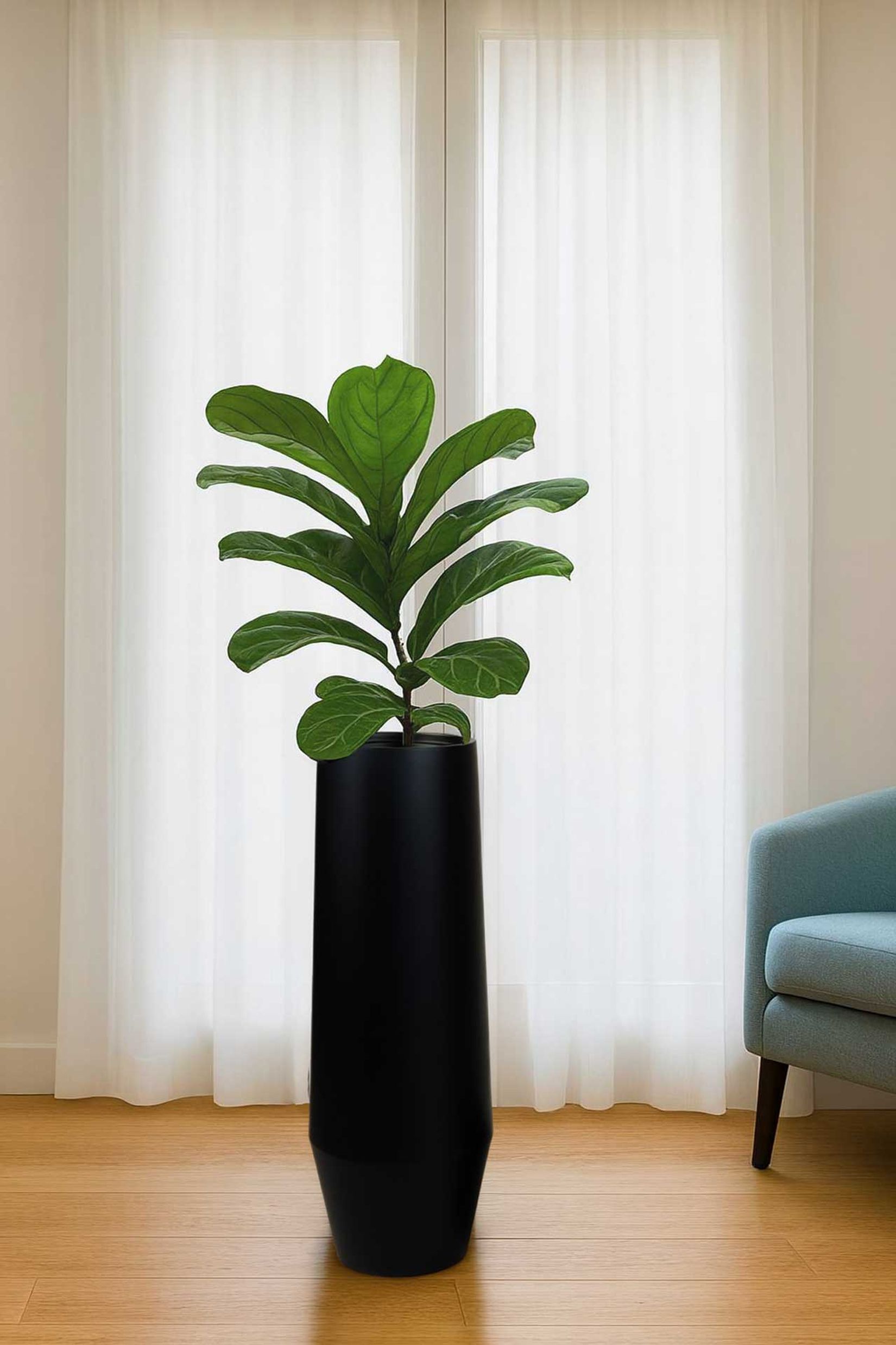 Pflanzkübel Bodenvase Fiberglas BERBELO Schwarz Matt Pflanzkübel Bodenvase Fiberglas BERBELO Schwarz Matt