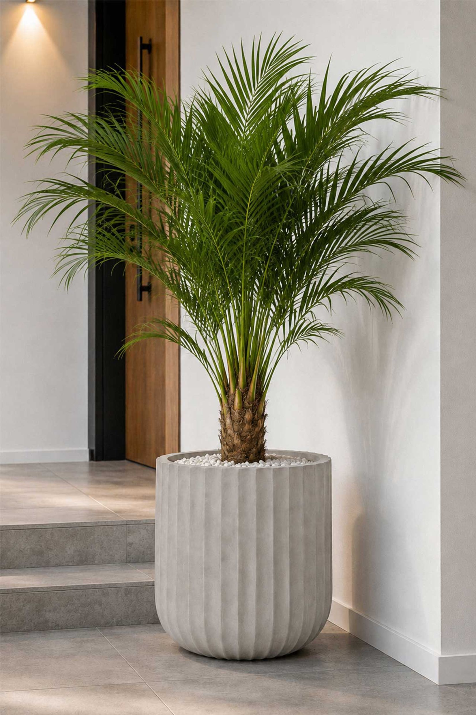 Blumentopf CHICO ARC Fiberglas 40x40 cm Grau