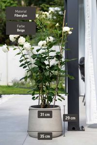 Blumentopf Pflanztopf Fiberglas TROPICO Creme