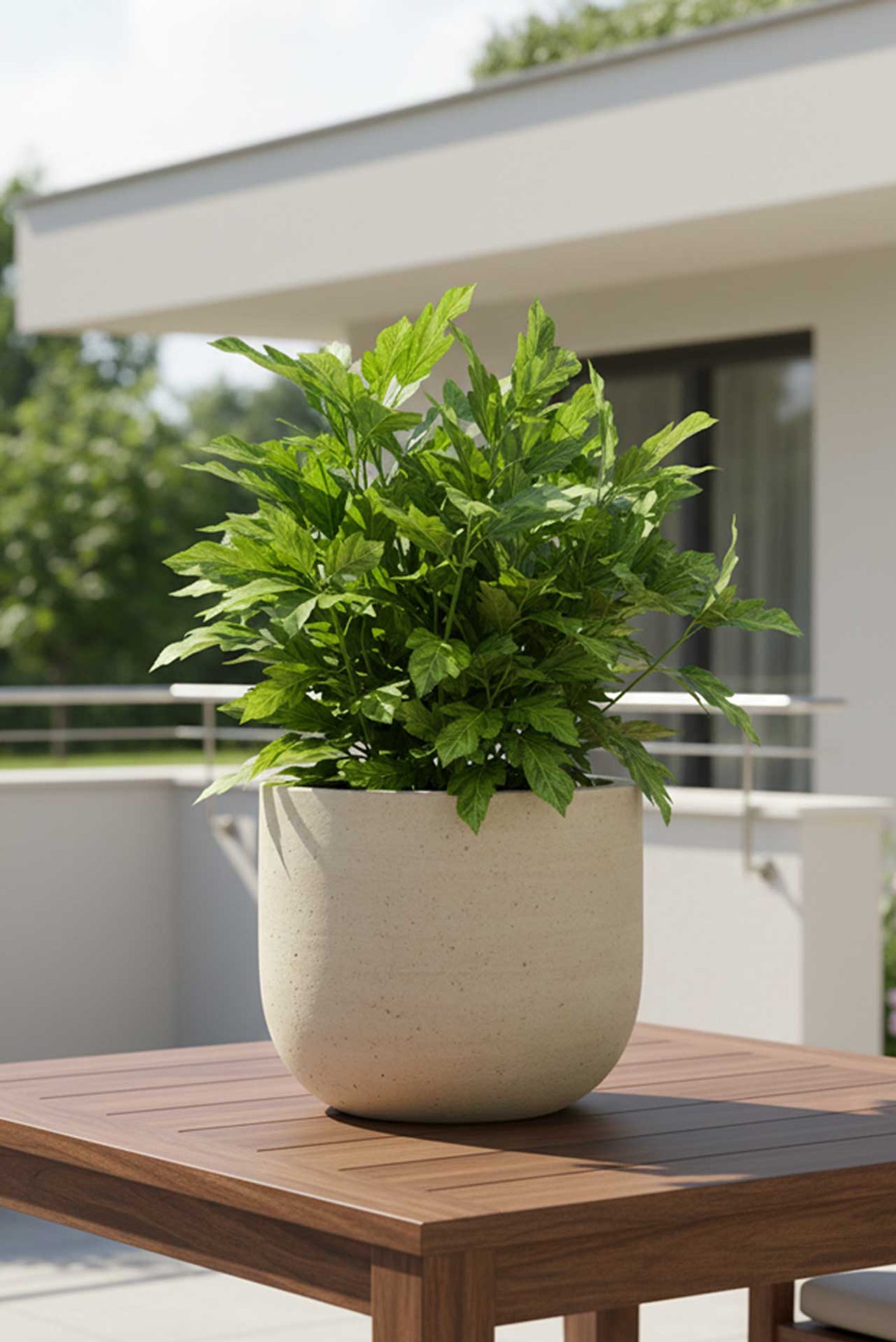 Pflanzkübel Blumentopf Fiberzement CALDO Dünenbeige