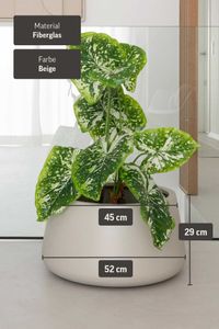 Pflanztopf Pflanzkübel Fiberglas GORDO Creme