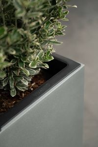 Pflanzkübel Sichtschutz Fiberglas Graphitgrau ELEMENTO
