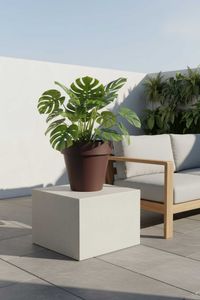 Blumentopf Pflanzkübel aus Kunststoff Rund Braun LEVANTA Blumentopf Pflanzkübel aus Kunststoff Rund Braun LEVANTA