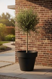 Blumentopf Pflanzkübel aus Kunststoff Rund Anthrazit LEVANTA