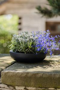 Pflanzschale Blumenschale Fiberglas "Plana", Anthrazit