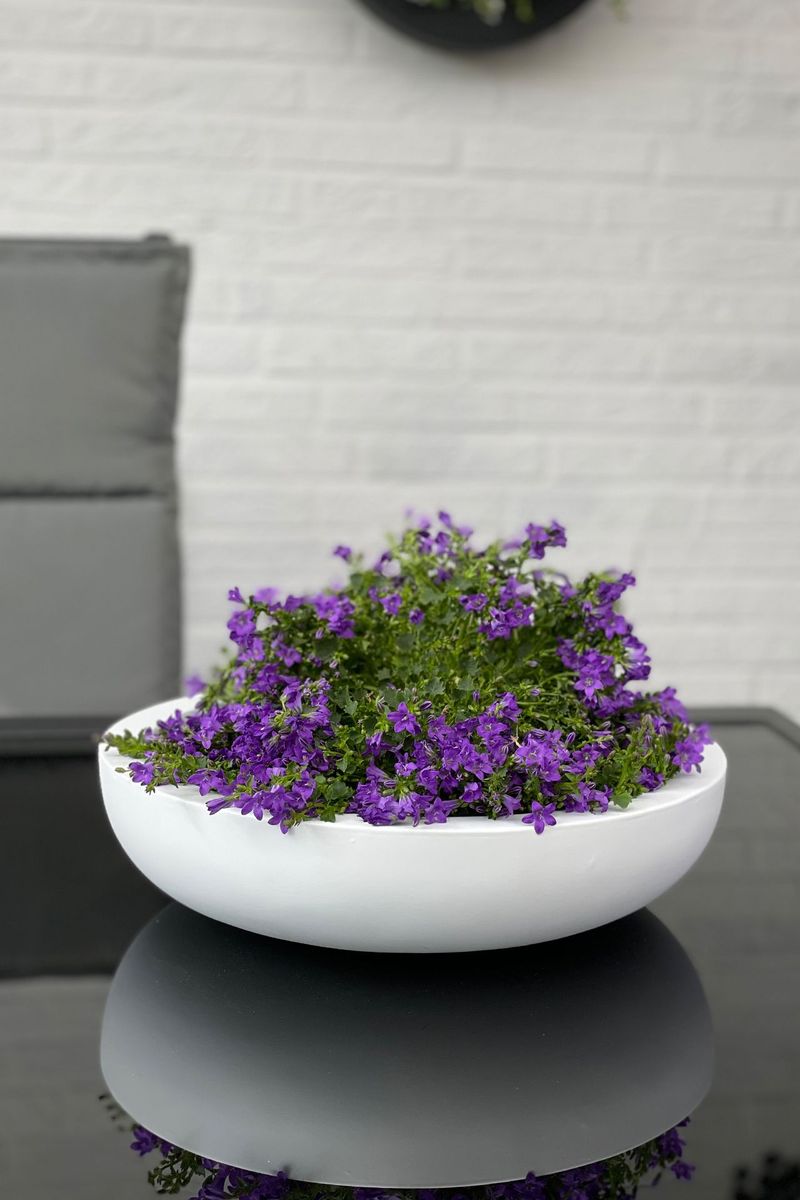 Pflanzschale Blumenschale Dekoschale Fiberglas PLANA weiß | 43x11 cm | 103021084411