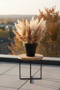 Blumentopf Pflanzkübel aus Kunststoff Rund Anthrazit LEVANTA