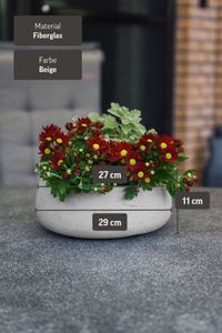 Pflanzschale Dekoschale PERA rund Fiberglas Creme