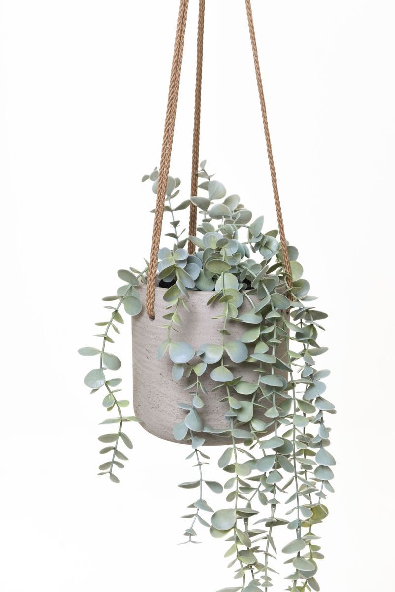 Hängetopf hängender Blumentopf Fiberglas PENDULO Grau | 302414341085