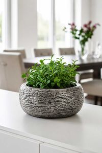 Pflanztopf POTTA Fiberglas 31x13 cm Silber