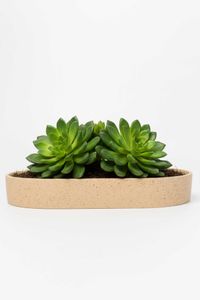 Pflanzschale Dekoschale Fiberglas SOLENA Arbanecreme