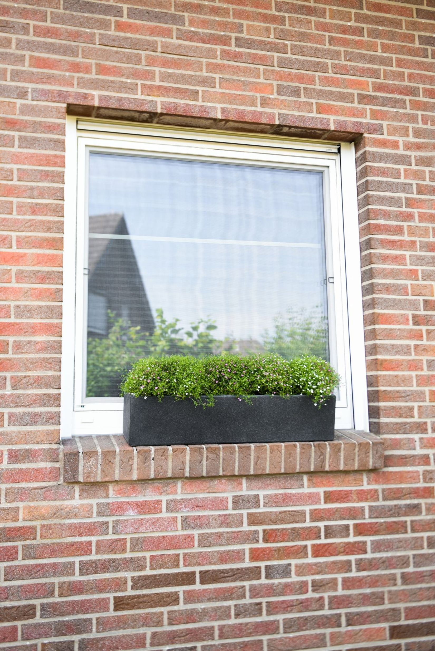 Blumenkasten Fensterbankkasten Beton "Flobo", Anthrazit