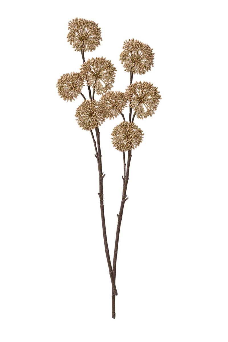 Allium Deko Zweig Kunstzweig ERVA 97cm (2er Set) Beige | 1111760