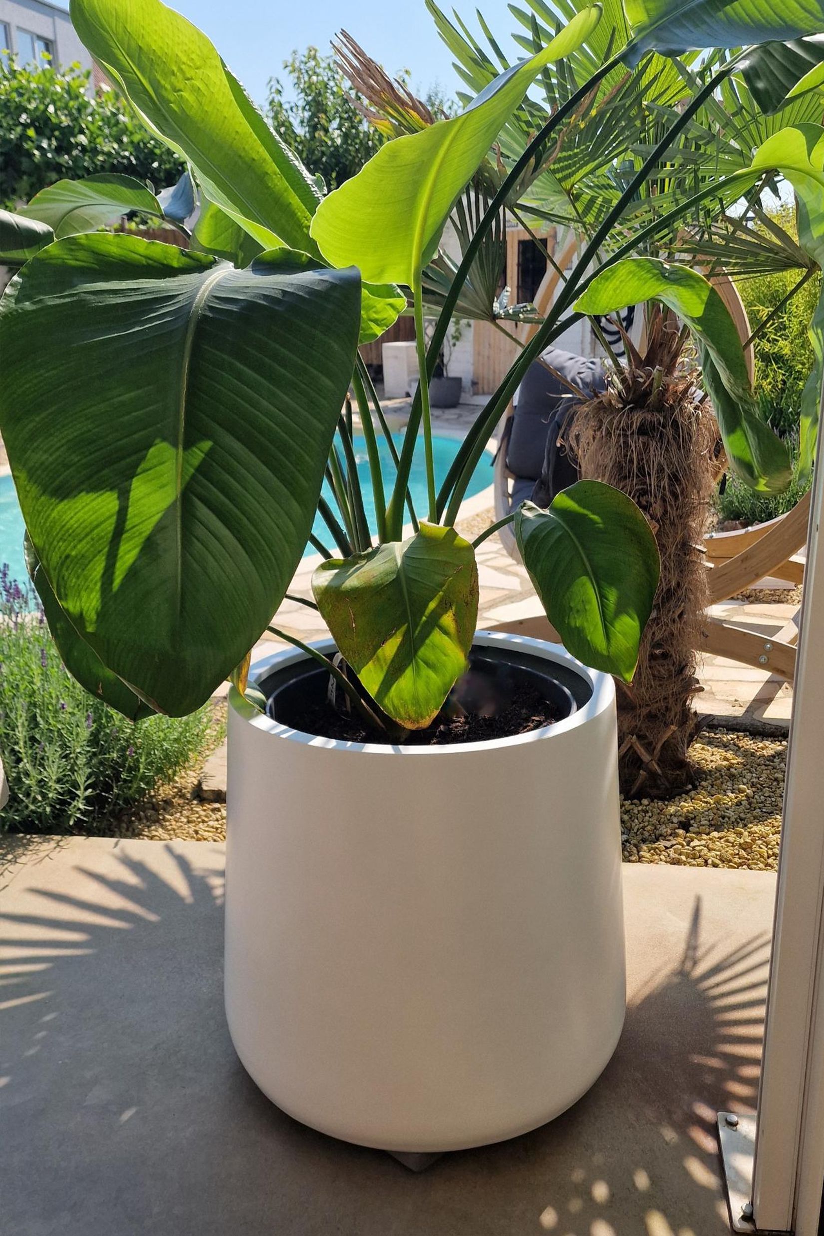 Pflanzkübel Blumentopf rund VEKRA Weiß Matt