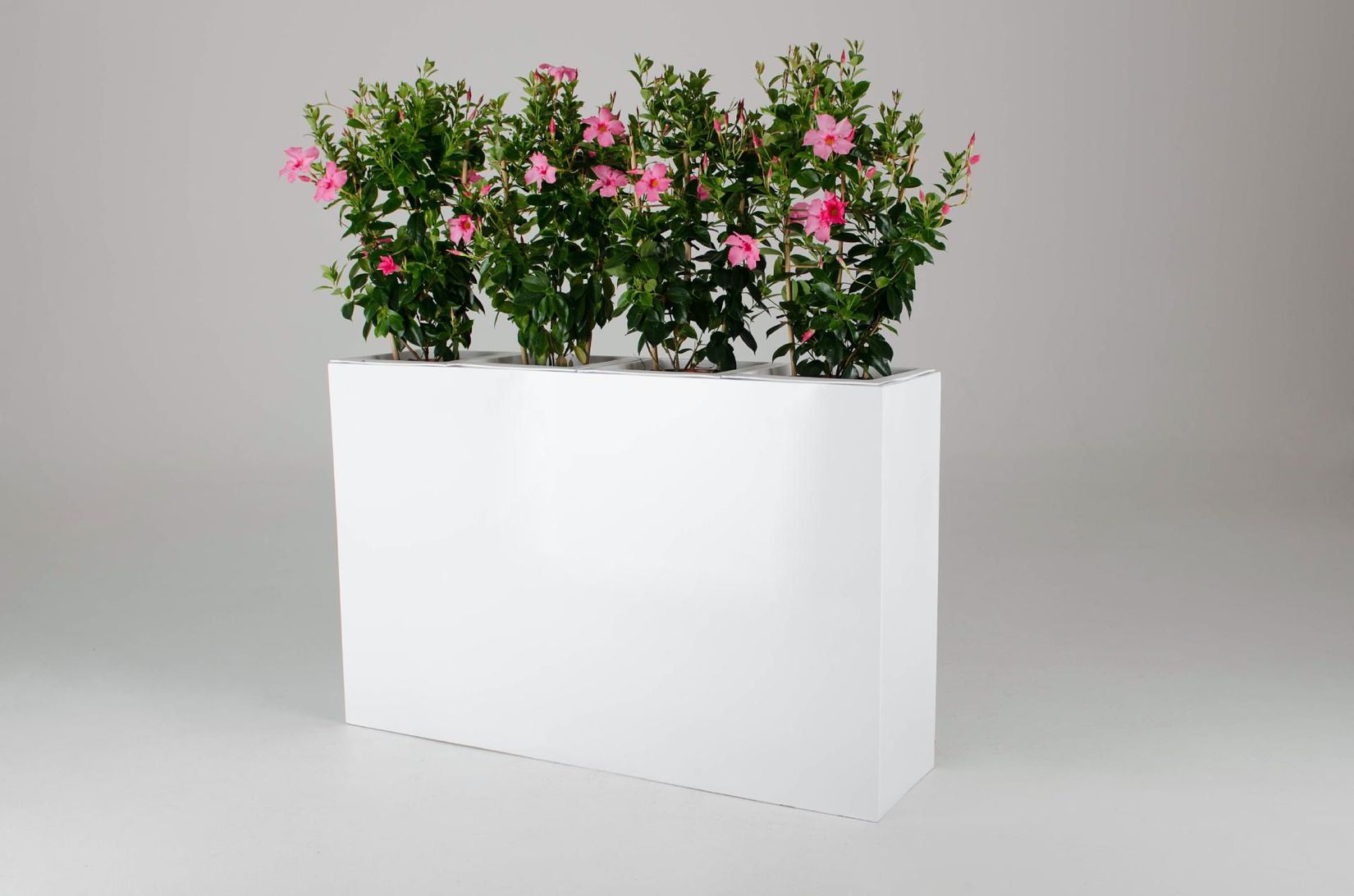 Pflanzkübel Raumteiler Fiberglas "Elemento", Weiß Hochglanz