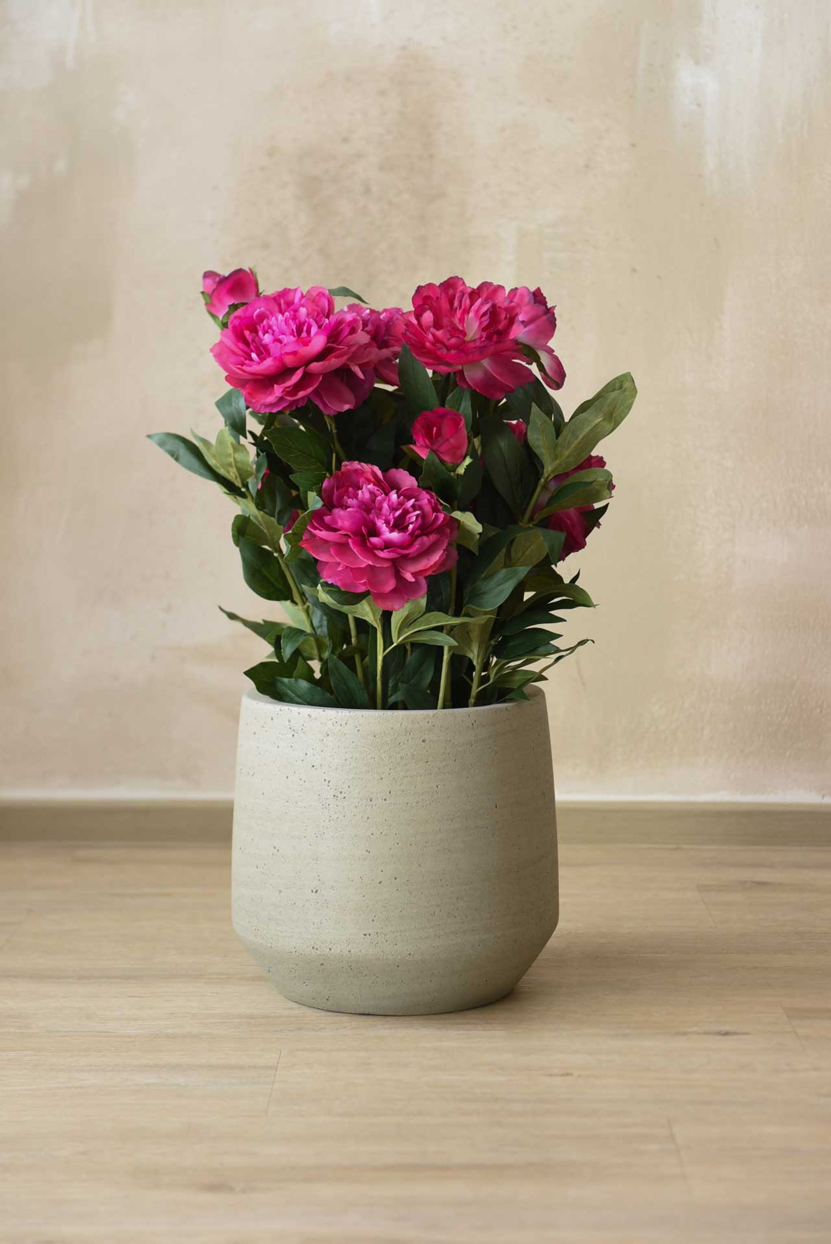 Pflanzkübel Blumentopf Fiberzement SASSO Dünenbeige