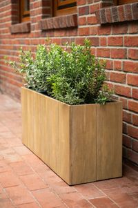 Pflanzkübel Pflanztrog Holz MAXI Braun