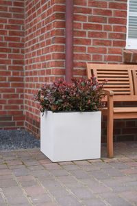 Pflanzkübel Blumenkübel Fiberzement BLOCK Würfel Creme