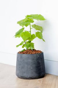 Blumentopf Pflanztopf Fiberglas TROPICO Anthrazit Blumentopf Pflanztopf Fiberglas TROPICO Anthrazit