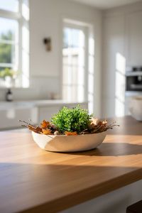 Pflanzschale Dekoschale Fiberglas CAVERO Arbanepoly Pflanzschale Dekoschale Fiberglas CAVERO Arbanepoly