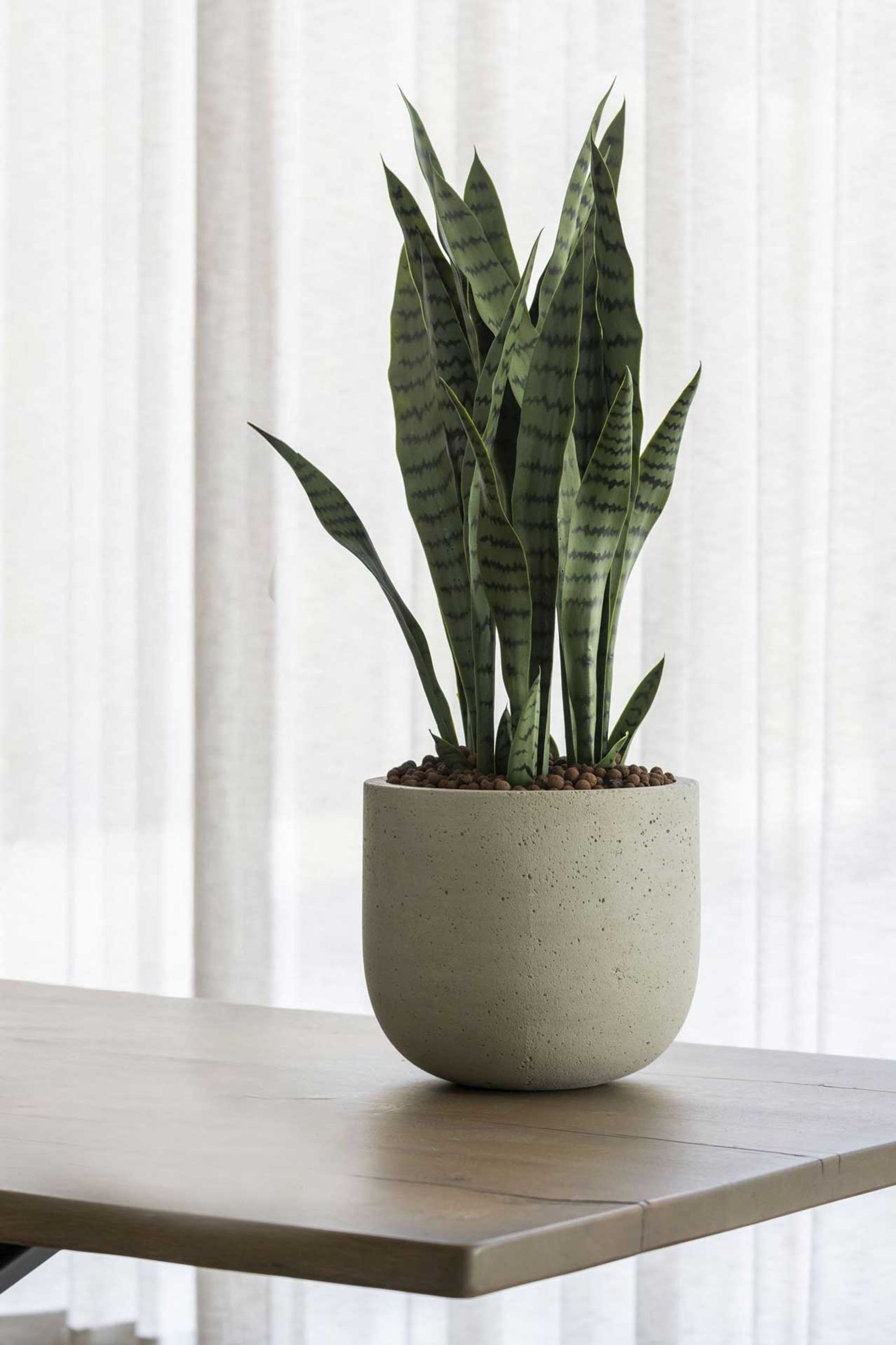 Pflanzkübel Blumentopf Fiberzement CALDO Dünenbeige