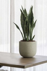 Pflanzkübel Blumentopf Fiberzement CALDO Dünenbeige