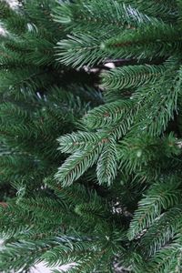 kuenstlicher-tannenbaum-weihnachtsbaum-nordmann-premium-vivanno-240-7 Künstlicher Weihnachtsbaum Premium Nordmanntanne, 240 cm hoch - Modell 2025