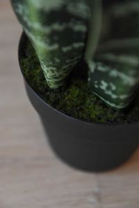 Kunstpflanze Bogenhanf Sanseviera künstlich SANSI