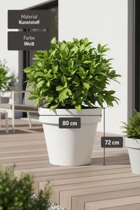Blumentopf Pflanzkübel aus Kunststoff Rund Weiß LEVANTA