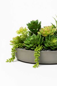 Pflanzschale Dekoschale Fiberglas ORYVEN Beton-Design Grau Pflanzschale Dekoschale Fiberglas ORYVEN Beton-Design Grau