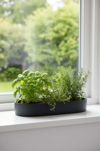 Pflanzschale Dekoschale Fiberglas SOLENA Anthrazit Pflanzschale Dekoschale Fiberglas SOLENA Anthrazit