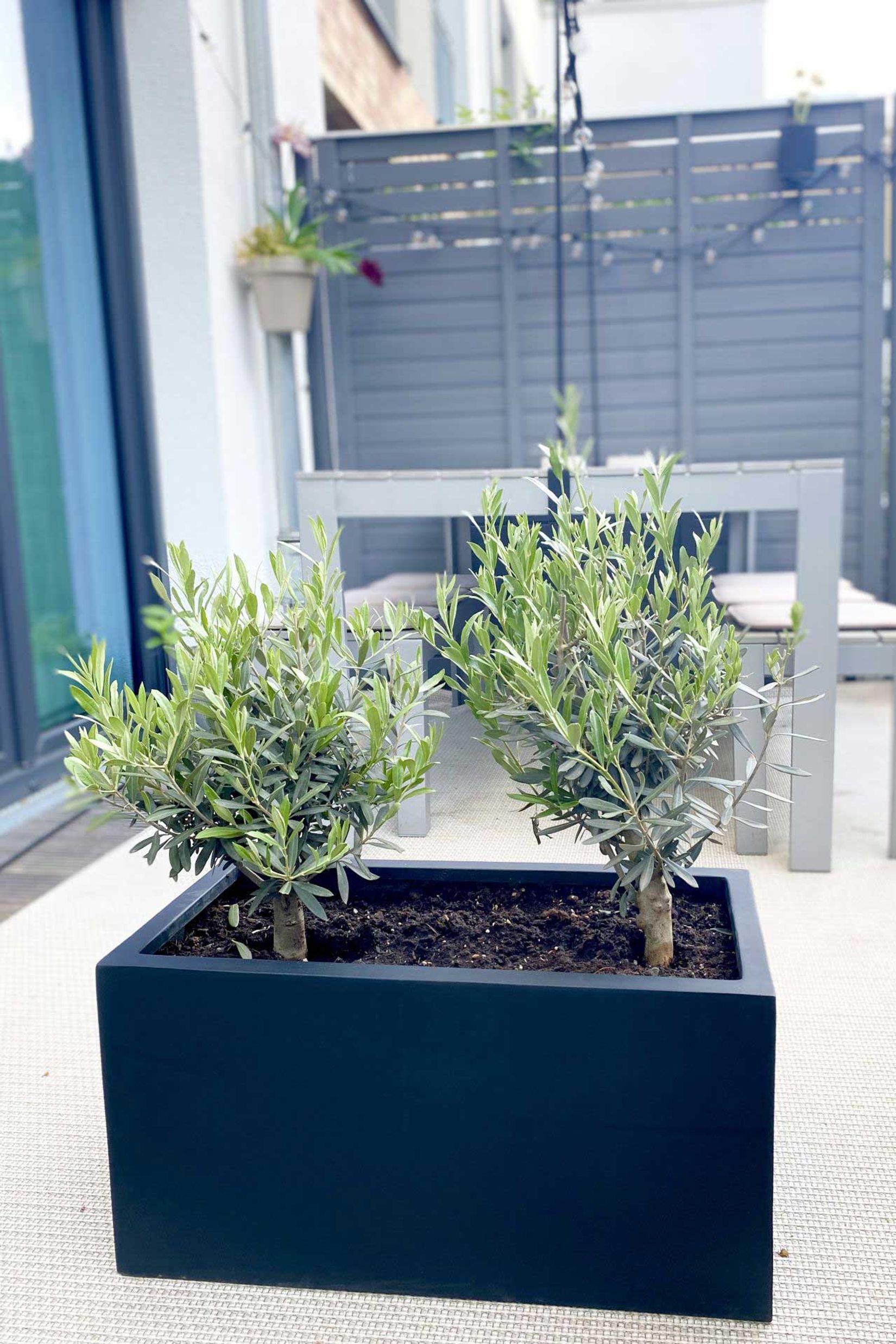 Pflanzkübel Pflanztrog Fiberglas "Maxi", Anthrazit